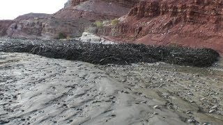 Amazing Flash Flood  Debris Flow Southern Utah HD [upl. by Smith]