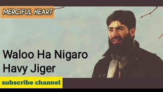 Waloo Ha Nigaro Havy Jiger Kashmiri Naat  By Zubair Salafi Merciful Heart [upl. by Nibla]