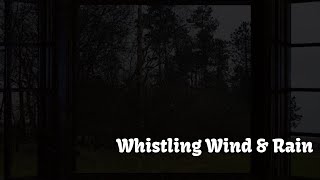 Wind Whistling Through Window With Rain  Relaxing Howling Wind for Two Hours  Dark Screen Loud [upl. by Anada]