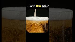 How Beer is Made in 60 Seconds🍻shorts viral beer [upl. by Nylireg]