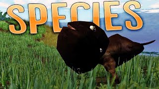 Species  Evolving A Worm Species  Species Artificial Life Real Evolution Gameplay [upl. by Ainos]