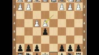 Chess Openings Falkbeer Countergambit [upl. by Anerrol]