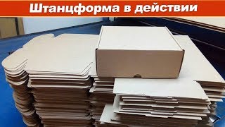 Штанцформа в действии массовое изготовление картонных коробок упаковки [upl. by Adnek]