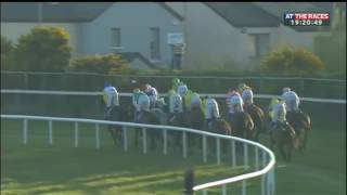 WengerOut makes it to Wexford Races [upl. by Engamrahc6]