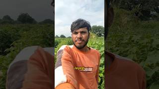 Mene Kabhi Socha Nhi Sap Ke Katne Se Jan Jayegimini vlogs😭 minivlog shorts minivlogs vlog [upl. by Thesda]