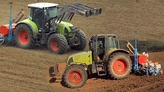 MAISLEGEN mit CLAAS ARION 640 und ARES 657 ATZ mit 6 REIHEN MONOSEM vom LU SCHÄFER [upl. by Orravan]