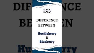 Difference Between Huckleberry and Blueberry  The Great Berry Breakdown Huckleberry vs Blueberry [upl. by Mordecai]