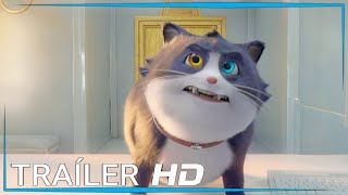 Un Gato Con Suerte  Tráiler Oficial Español Latino HD 2024 [upl. by Harte]