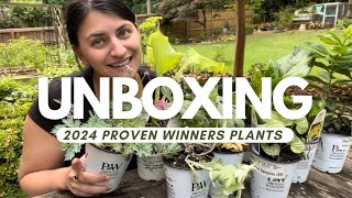 Unboxing New 20232024 Proven Winners Perennials from Walters Gardens [upl. by Wivina]