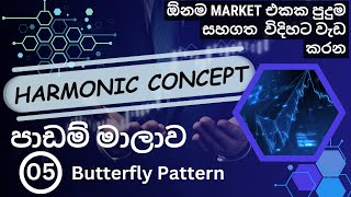 Harmonic Pattern Trading Lesson 5  Technical Analysis  Sinhala [upl. by Adey359]