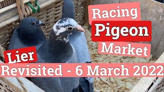 Racing Pigeon Market Lier Belgium 6 March 2022 [upl. by Radek179]