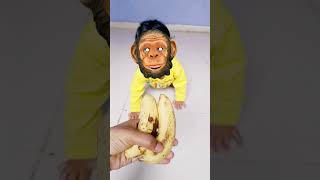 05 🐒🙉😂😹🍒 Bandar mama pahan pajama 🐒🙉😹🐕😺💐🍑🍓🍎🌾🐾🍭 viral funny shorts monkey bandar [upl. by Olotrab838]