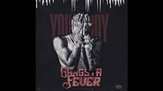 Nba YoungBoy Gangsta Fever  Clean [upl. by Lustick1]