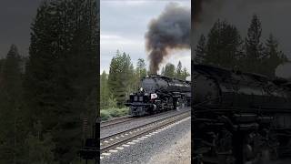 Union Pacific Big Boy 4014 Steam Engine Through Norden Snowshed  Donner Pass Summit [upl. by Eycal895]