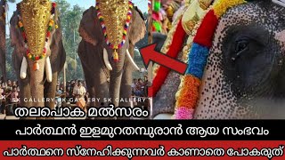 കേരളം കണ്ട ഏറ്റവും മികച്ച തലപൊക മൽസരം  cherpulassery parthan vs mangalamkunnu ayyappan [upl. by Karly]