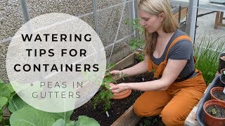 Watering Tips for Container Gardens [upl. by Bergerac767]