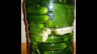 Ogórki kiszone  How to make Pickles  przepisTV [upl. by Kletter]