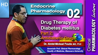 Endocrine Pharmacology Ar  02  Diabetes mellitus  Part 2 Oral antidiabetic drugs [upl. by Sekofski244]