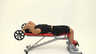 Lying Barbell Triceps Extensionwmv [upl. by Shandee]