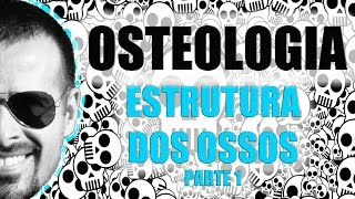 Sistema Esquelético  Estrutura dos ossos longos Parte 12  Anatomia Humana  VídeoAula 006 [upl. by Kiyohara]