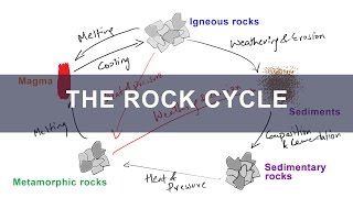 Rock Cycle  Formation of Igneous Metamorphic Sedimentary Rocks  Geology [upl. by Nas]