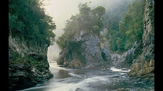 The story of the Tasmanian Dam Case [upl. by Nangatrad]