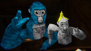 The Return Of Fishlegs  Gorilla Tag VR [upl. by Eintihw]