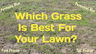 Fall Lawn Care Choosing The Perfect Grass For Your Yard [upl. by Nrevel]