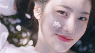 innisfree NEW Jeju Cherry Blossom Toneup Cream BlossomToneUp [upl. by Cosenza663]