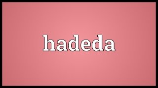 Hadeda Meaning [upl. by Naejeillib]