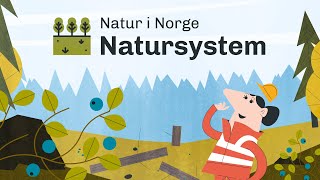 Dette må du vite om Natursystem [upl. by Akital793]