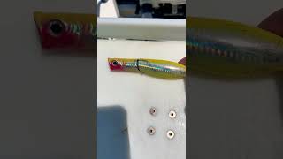 Bluefish Are Savage Predators Topwater Popper Cracked By Teeth [upl. by Ardyth]