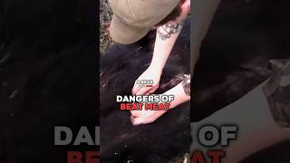 Dangers of eating bear meat [upl. by Jeffers]