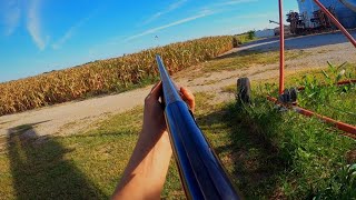 DOVE SEASON OPENER GREAT HUNT [upl. by Leunamme]