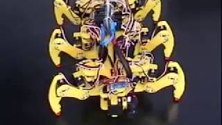 Hexapod Robot V1 Exercises [upl. by Inge]