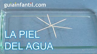 Experimentos para niños La piel del agua [upl. by Onida]