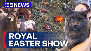 Spotlight animals for the Royal Easter Show  9 News Australia [upl. by Ahker]