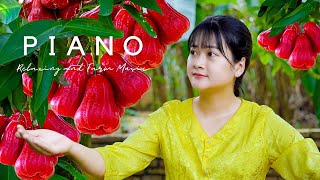 Vietnamese Fruit Roi Farming 🎹 AMAZING HARVESTING in PIANO MUSIC [upl. by Anilag332]