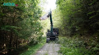 Lichtraumprofil am Waldweg schneiden mit CutWheel [upl. by Dnalyk]