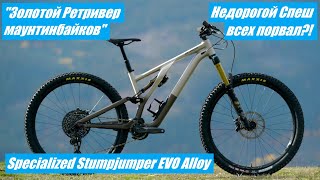 2022 Specialized Stumpjumper Evo Alloy  Золотистый Ретривер Маунтинбайков [upl. by Acira]