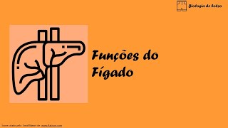 Funções do fígado [upl. by Gardas626]