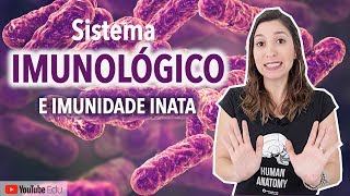 Imunidade Adquirida ou Adaptativa  Tipos de Imunidade  Sistema Imune  Fisiologia Humana [upl. by Akessej]