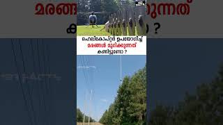 ഹെലികോപ്റ്റർ ഉപയോഗിച്ച് മരങ്ങൾ മുറിക്കുന്നത് കണ്ടിട്ടുണ്ടോ  Helicopter tree line trimming [upl. by Cecilio]