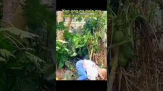 YAN ANG PREMYO NYO nahulog [upl. by Wainwright]