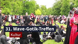 Wave Gothic Treffen WGT in Leipzig 2023  Das Viktorianische Picknick [upl. by Amado]