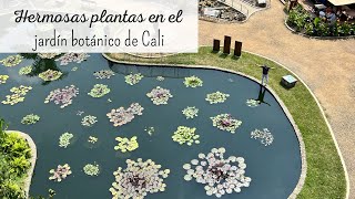 Conoce el HERMOSO jardín botánico de Cali [upl. by Irakuy]