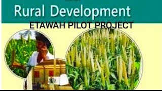 Etawah pilot project इटावा परियोजना  asrb ICAR UPCATET AGRICULTURE [upl. by Ardnek]