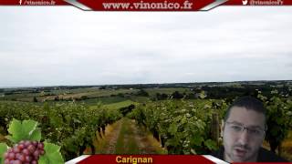 Découverte du Carignan [upl. by Aynos]