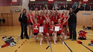 Bezirksmeisteschaften Volleyball Mädchen U14 am 20012013 [upl. by Baskett]