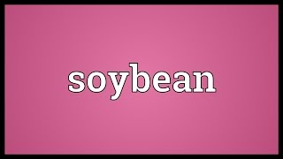 Soybean Meaning [upl. by Eissak125]